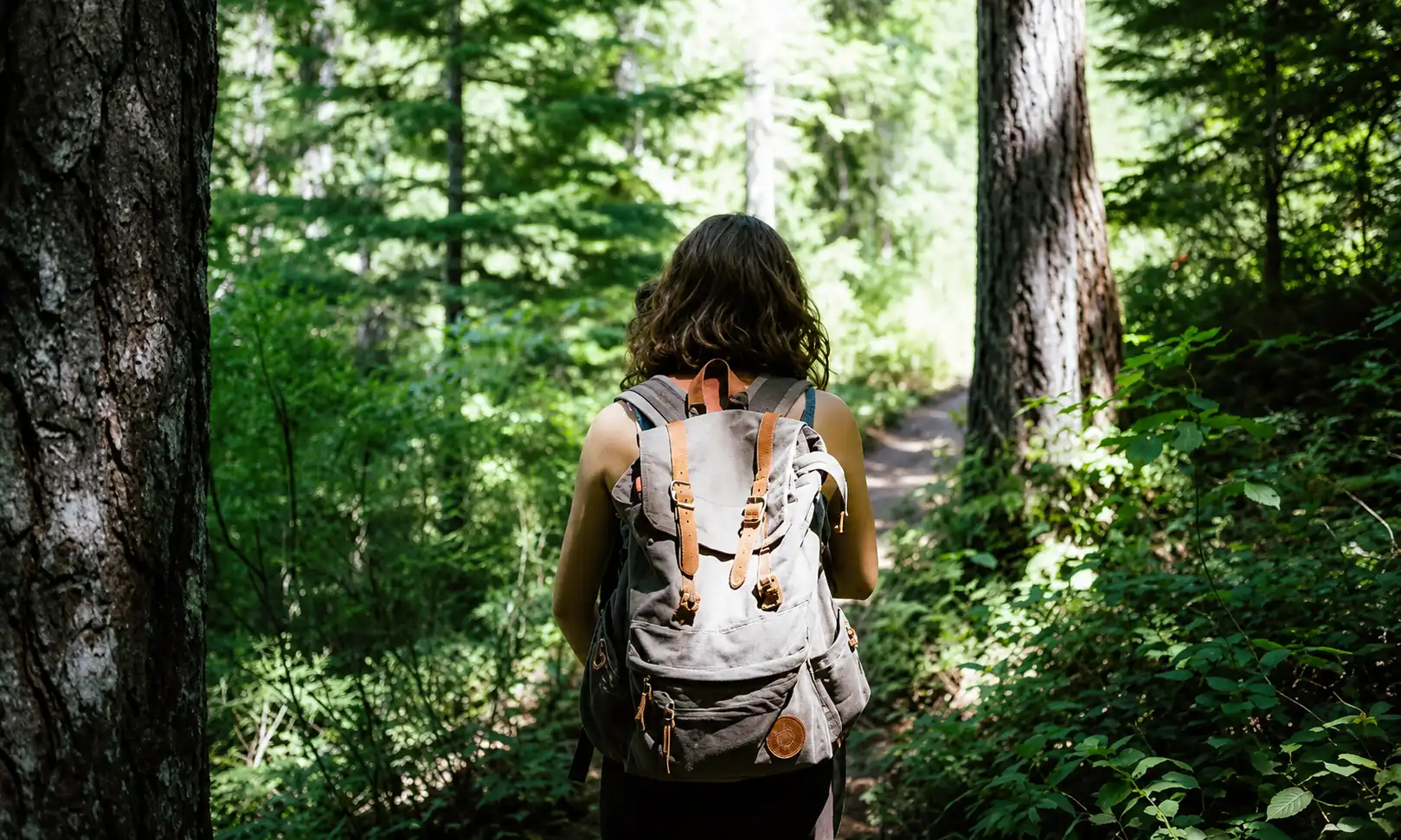 Person mit Rucksack auf einem Waldweg